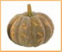 Decoflorall Crowning F1 Moschata - 250 zaden Crowning F1 Moschata