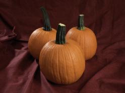 Decoflorall Fall Splendor F1  Fall Splendor F