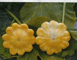 Decoflorall Golden Marbre - basiseenheid Golden Marbre