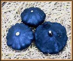 Decoflorall Scallopini F1  - basiseenheid Scallopini F1 