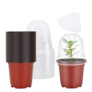 Decoflorall Startset 10 minikasje pot / set 10 potten;10 deksels en 10 labels Vensterbankkasjes Pot, kap en label