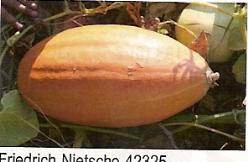 Decoflorall Friedrich Nietzsche Friedrich Nietzsche