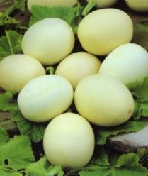 Decoflorall Nest egg - basiseenheid Nest egg