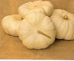 Decoflorall Flat White Boer - 50 zaden Flat White Boer