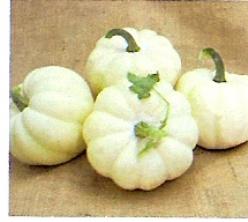 Decoflorall White Cloud˜˜F1 Acorn White Cloud˜˜F1 Acorn