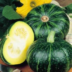 Decoflorall Nutty delica kabocha - basiseenheid Nutty delica kabocha