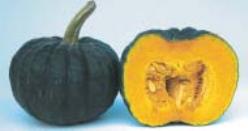 Decoflorall Kabocha Armor F1  Armor F1