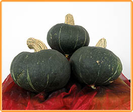 Decoflorall Autumn Cup kabocha - 50 zaden Autumn Cupkabocha