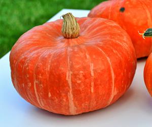 Decoflorall Mooregold kabocha - 250 zaden Mooregold kabocha