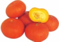 Decoflorall Small Orange F1  Small Orange F1
