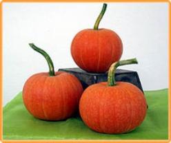 Decoflorall Golden Pumpkin Golden Pumpkin