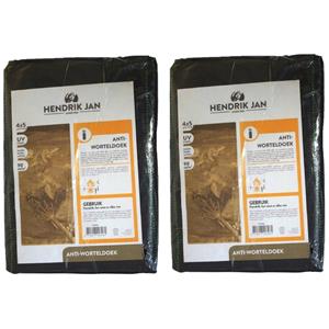 Hendrik Jan Anti worteldoek/onkruiddoek - 2x verpakking - zwart - 5 x 4 meter -