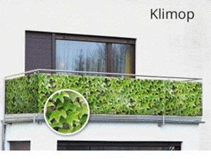 wenko Maximex Sichtschutz Wilder Wein 5 m, für Balkon und Terrasse, Mehrfarbig, Polyethylen mehrfarbig, Polyamid schwarz - mehrfarbig