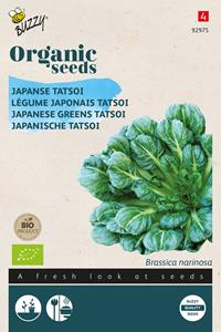 Buzzy Organic Tatsoi (BIO) - 