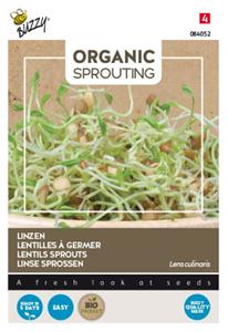 Buzzy Organic Sprouting Linzen (BIO) - 