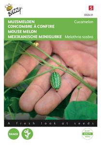 Buzzy Muis meloen Cucamelon Tuinplus - 