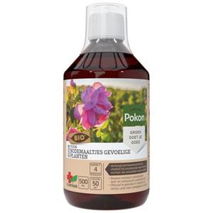 Pokon Plantkuur Bodemaaltjes Voor Gevoelige Planten Bio Concentraat 500ml