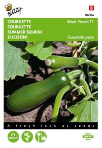 Buzzy Courgette Klimmend Black Forest F1 Tuinplus - 