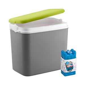 Merkloos Koelbox met koelelementen - 24 liter - kunststof - grijs - x 27 x cm -