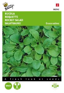 Buzzy Rucola coltivata italiaanse snijgroente Tuinplus - 