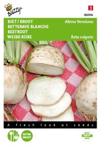 Buzzy Bieten Albina Vereduna wit Tuinplus - 