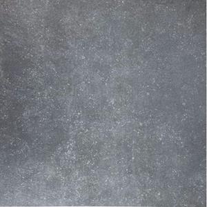 Praxis Tuintegel Dinant - Mat - Keramiek - Grijs - 60x60x2cm - 2 Stuks - 0,72 M²