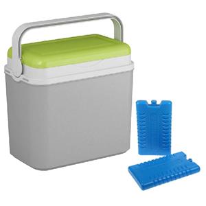 Shoppartners Koelbox grijs/groen 10 liter 30 x 19 x 28 cm incl. 2 koelelementen -