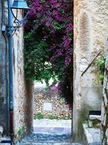 Bougainville steeg 50x70cm Tuinschilderij - 