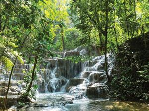 Waterval tredes 70x50cm Tuinschilderij - 