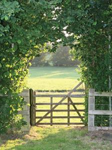Customize-it Meadow 50x70cm Tuinschilderij - 