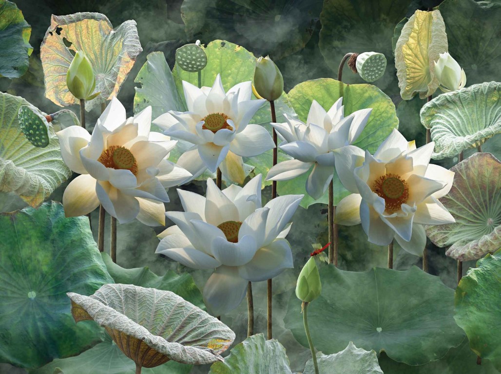 Customize-it Lotusbloemen 70x50cm Tuinschilderij - 