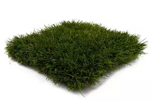 Kunstgras supreme 65 | rolbreedte 100cm