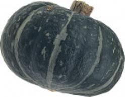 Decoflorall Dolcevera F1 / Ebisu F1 kabocha - 50 zaden Dolcevera F1 / Ebisu F1