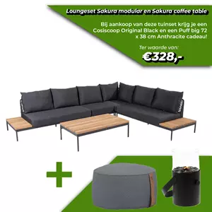 4 Seasons Outdoor Sakura loungeset