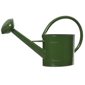 Decoris Gieter voor binnen/buiten - donkergroen - zink - 5 liter -