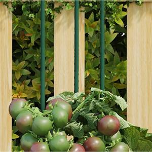 VidaXL Plantenstaken 30 st 115 cm staal groen