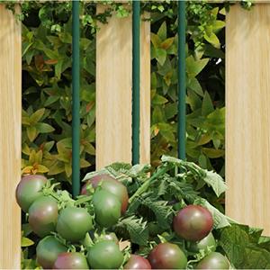 VidaXL Plantenstaken 30 st 150 cm staal groen