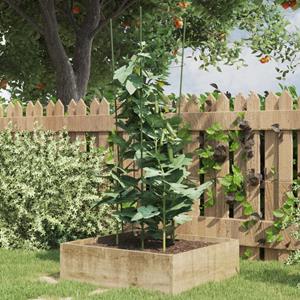 VidaXL Plantensteunen 5 st met 4 ringen 90 cm staal groen