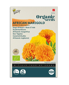 Tuinplus Zaden afrikaan sunset giants 1 gram - 