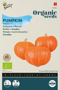 Buzzy Seeds pompoen amoro F1 6 zaden - 