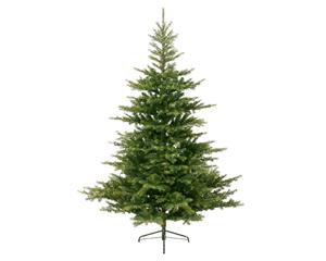 Everlands Grandis fir d172h270 cm groen kerst - 