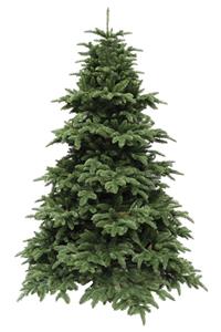 Triumph Tree Nordmann kunstkerstboom deluxe abies groen h215 d155 cm - 