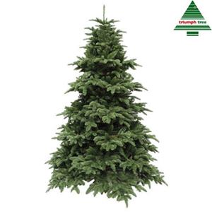 Triumph Tree Nordmann kunstkerstboom deluxe abies groen h185 d135 cm - 