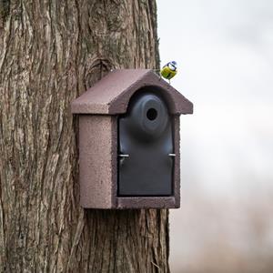 Nestkast-houtbeton bilbao 28mm CJ Wildlife CJ Wildbird - Cj wildbird