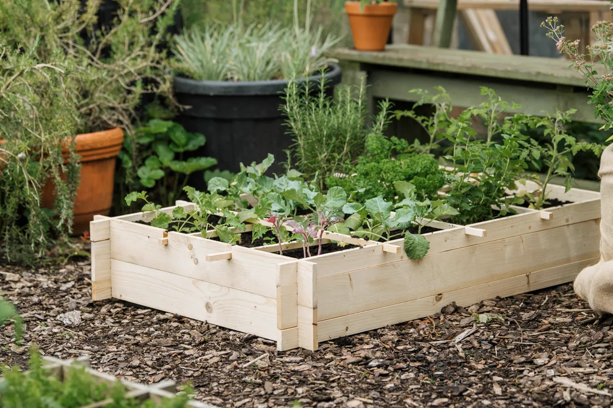 Royal Well Crispy Lettuce planter 80x120x20cm - onbehandeld grenen