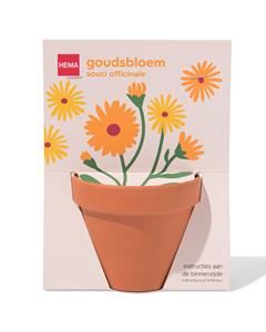 HEMA Potje Met Zaden - Goudsbloem