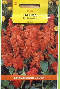 Tuinplant.nl Salvia