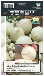Baltus Zomer Bloembollen Uien Snowball (per 500 gram) - 