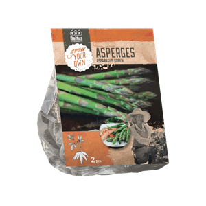 Baltus Asparagus Groen - 