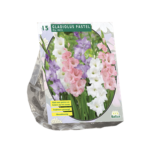 Baltus Zomer Bloembollen Gladiolus Pastel Mix per 15 - 